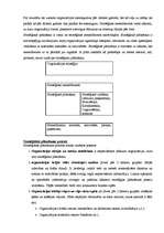 Konspekts 'Stratēģiskā plānošana', 2.