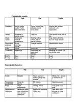 Konspekts 'Ajūrvēda', 11.