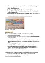 Konspekts 'Rietumeiropa viduslaiku pirmajā pusē', 2.