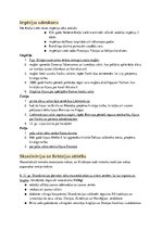 Konspekts 'Rietumeiropa viduslaiku pirmajā pusē', 5.