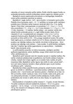 Referāts 'Basketbols', 3.