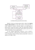 Referāts 'Jauno darbinieku ievadīšanas darbā kā personālvadības būtiska sastāvdaļa', 21.