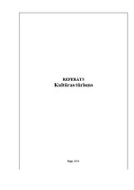 Referāts 'Kultūras tūrisms', 1.