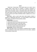 Referāts 'Kultūras tūrisms', 3.