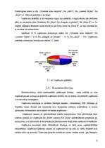 Prakses atskaite 'SIA "Mežs" mārketinga vides analīze', 10.