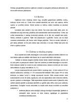 Prakses atskaite 'SIA "Mežs" mārketinga vides analīze', 13.