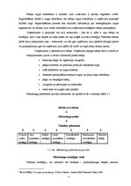 Referāts 'Mārketinga stratēģijas nozīme a/s "Trikātas siers" attīstībā', 8.