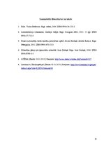 Referāts 'Paaudžu savstarpējās attiecības Vizmas Belševicas triloģijas "Bille" 1.daļā', 20.