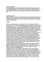 Konspekts 'Eiropas viduslaiku kultūra', 10.