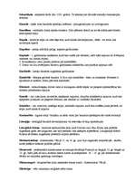 Konspekts 'Eiropas viduslaiku kultūra', 20.