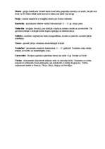 Konspekts 'Eiropas viduslaiku kultūra', 21.