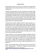 Referāts 'Vardarbības gadījuma analīze', 3.