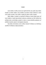 Referāts 'Lietu tiesību būtība un iedalījums', 3.