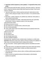 Referāts 'Menedžmenta konspekts. 2.daļa', 7.