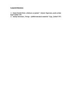 Referāts 'Rīgas pilsētas panorāma attēlos 16.-17.gadsimtā', 16.