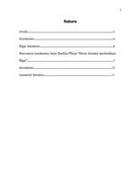 Referāts 'Renesanses un humānisma idejas Bazīlija Plīnija "Slavas dziesmā daudzinātajai Rī', 2.