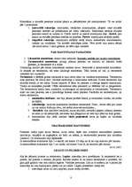 Konspekts 'Ievads romiešu civiltiesībās', 8.