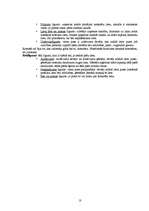 Konspekts 'Ievads romiešu civiltiesībās', 13.