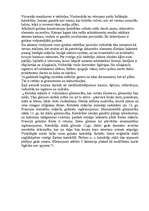 Referāts 'Gotika', 4.