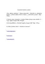 Referāts 'Gotika', 13.