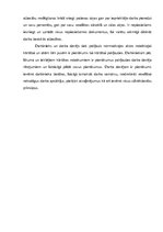 Diplomdarbs 'Darbinieka tiesības un pienākumi', 22.