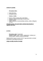 Referāts 'Zobu pasta un tās sastāvs', 13.