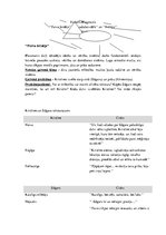 Konspekts 'Rūdolfa Blaumaņa darbu "Purva bridējs", "Pazudušais dēls" un "Indrāni" tēlu raks', 1.