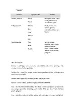 Konspekts 'Rūdolfa Blaumaņa darbu "Purva bridējs", "Pazudušais dēls" un "Indrāni" tēlu raks', 5.