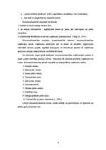 Referāts 'SIA "X" uzņēmējdarbības analīze', 6.