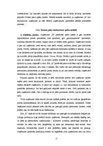 Referāts 'SIA "X" uzņēmējdarbības analīze', 17.