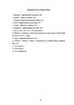 Referāts 'SIA "X" uzņēmējdarbības analīze', 26.