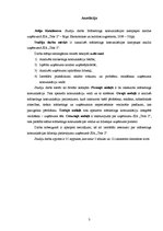 Referāts 'Mārketinga komunikācijas kampaņas analīze uzņēmumā SIA "Tele 2"', 3.