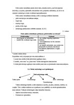 Referāts 'Mārketinga komunikācijas kampaņas analīze uzņēmumā SIA "Tele 2"', 17.