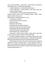 Referāts 'Mārketinga komunikācijas kampaņas analīze uzņēmumā SIA "Tele 2"', 19.