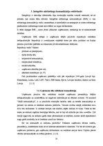 Referāts 'Mārketinga komunikācijas kampaņas analīze uzņēmumā SIA "Tele 2"', 20.