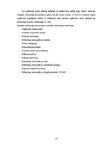 Referāts 'Mārketinga komunikācijas kampaņas analīze uzņēmumā SIA "Tele 2"', 24.