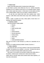 Prakses atskaite 'Sociālpedagoģiskā prakse bērnu namā', 6.