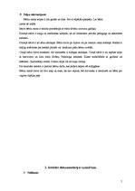 Prakses atskaite 'Sociālpedagoģiskā prakse bērnu namā', 7.