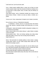 Prakses atskaite 'Sociālpedagoģiskā prakse bērnu namā', 13.