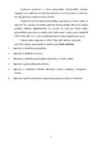 Prakses atskaite 'Prakses atskaite grāmatvedībā', 3.