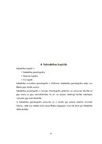 Prakses atskaite 'Prakses atskaite grāmatvedībā', 17.