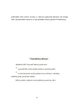 Prakses atskaite 'Prakses atskaite grāmatvedībā', 21.