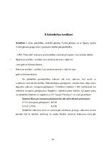 Prakses atskaite 'Prakses atskaite grāmatvedībā', 24.