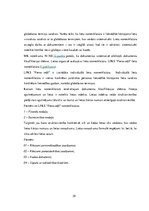 Prakses atskaite 'Prakses atskaite grāmatvedībā', 29.