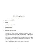 Prakses atskaite 'Prakses atskaite grāmatvedībā', 32.