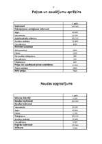 Biznesa plāns 'SIA "Būvnieks"', 12.