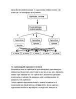 Konspekts 'Uzņēmums, tā veidi, mērķi un struktūra', 17.