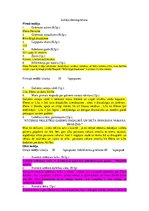 Konspekts 'Ellena Ferrante "Brīnišķīgā draudzene"', 1.