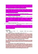 Konspekts 'Ellena Ferrante "Brīnišķīgā draudzene"', 2.