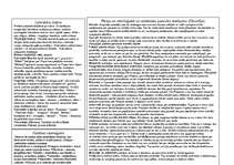 Konspekts 'Senās Grieķijas kultūra', 2.